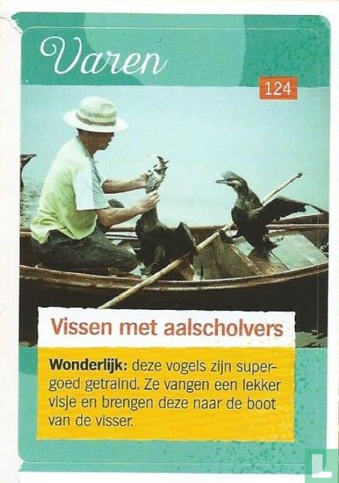 Vissen met aalscholvers