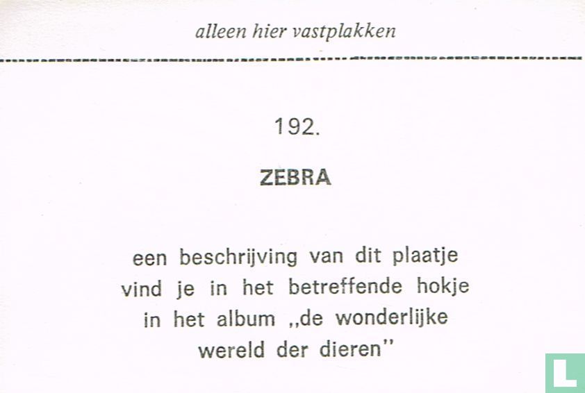 Zebra
