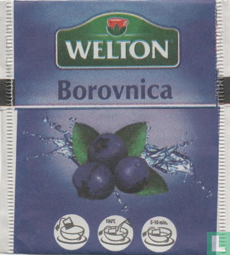 Borovnica 