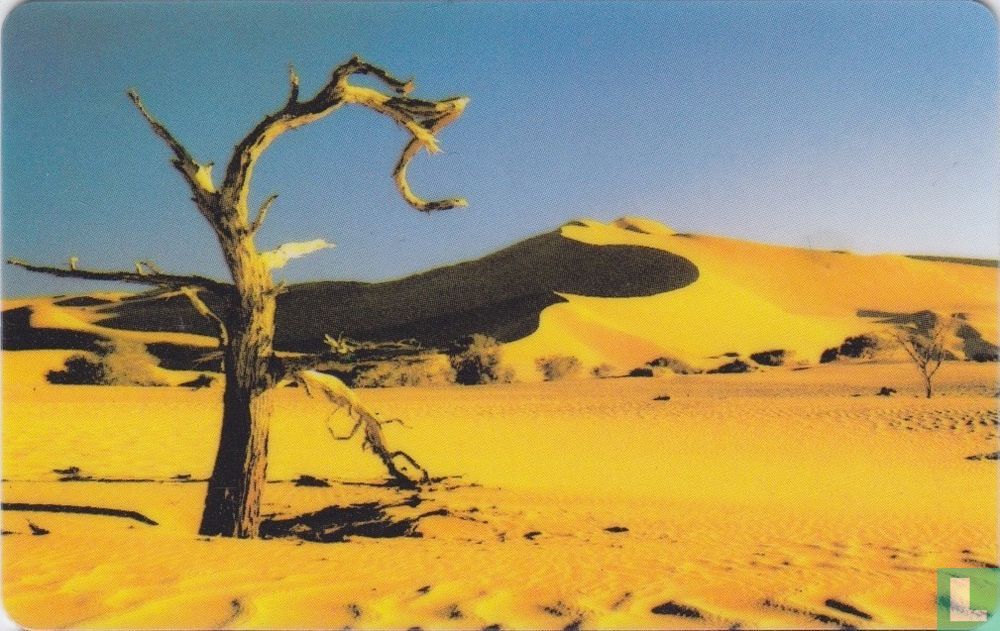 Tree in Dessert