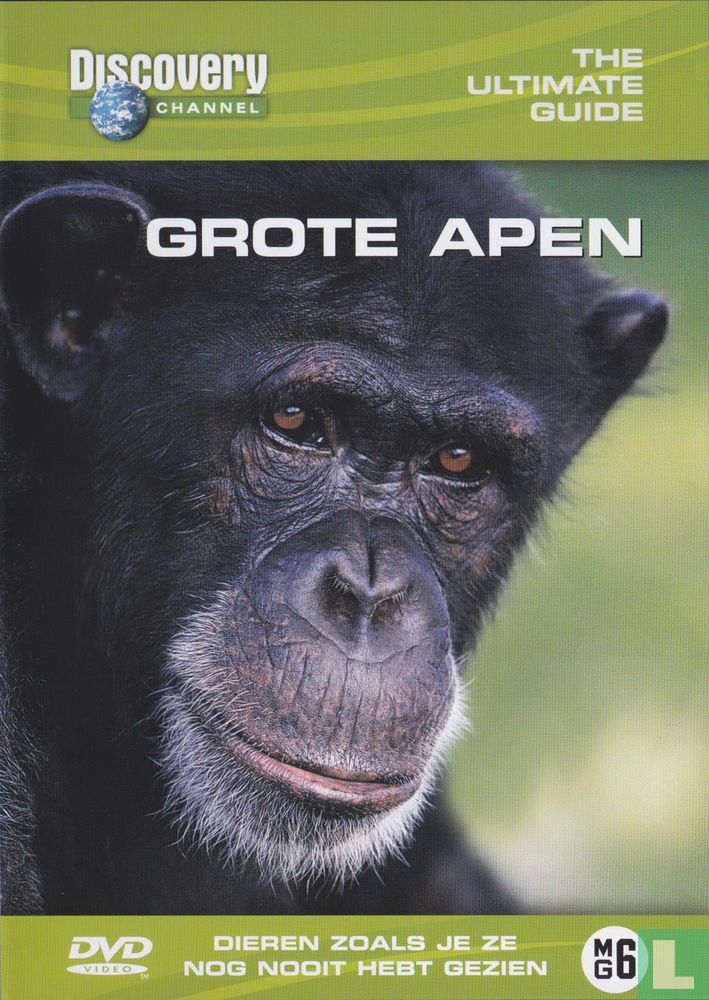 The ultimate Guide: Grote Apen