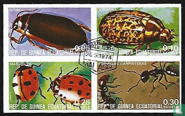 insectes