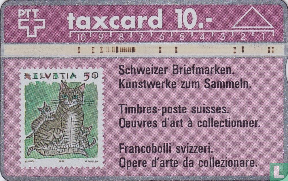 Katze
