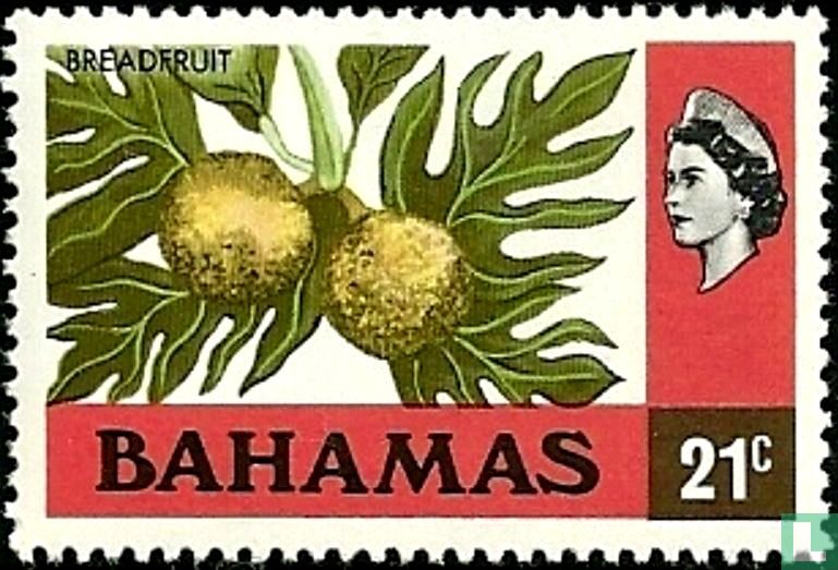 Breadfruit