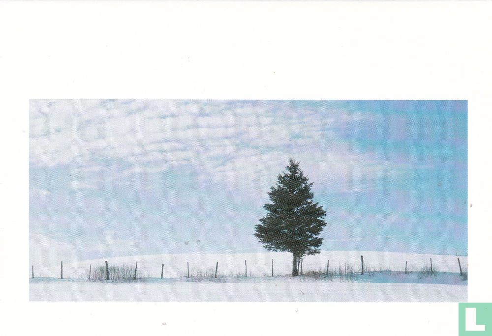 Winter: Landschap
