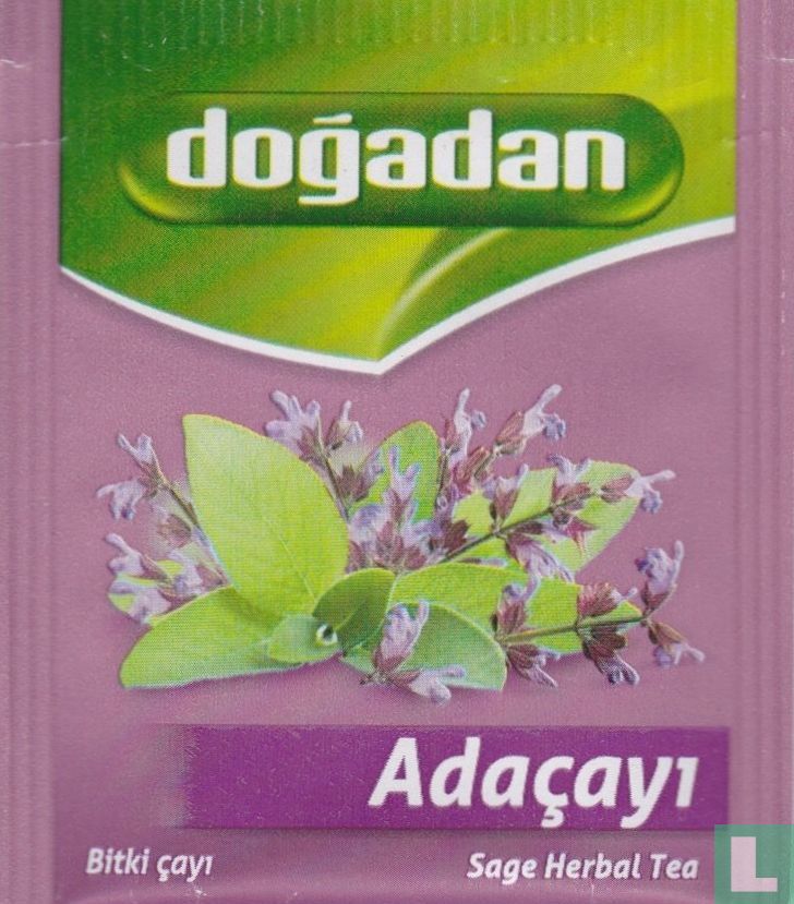 Adaçayi