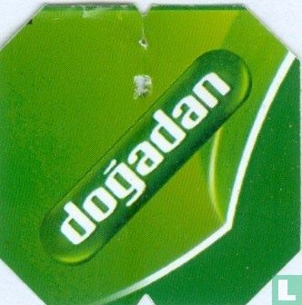 Adaçayi