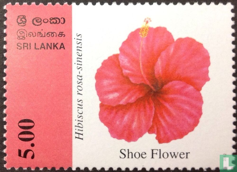 Fleurs