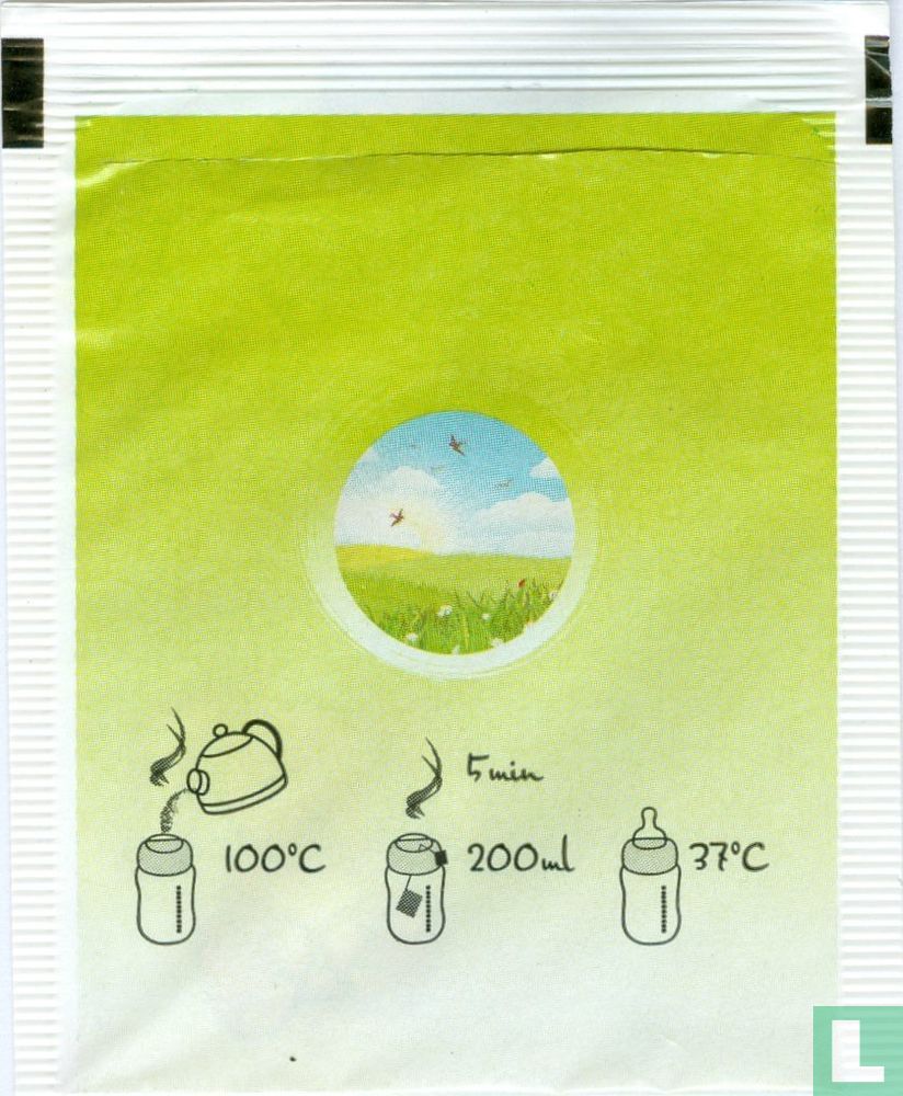 fennel 