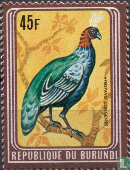 Birds