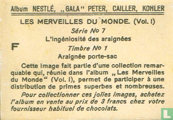 Araignée porte-sac