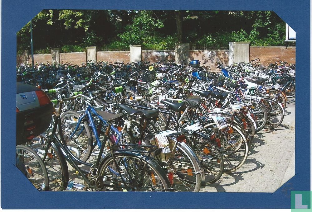 Fahrrad