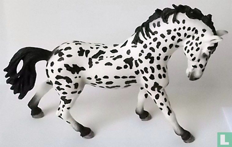 mare Knabstrupper