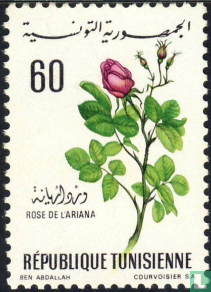 Blumen