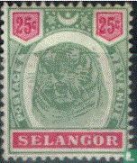 Tijgerkop