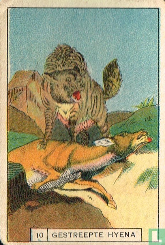 Gestreepte hyena
