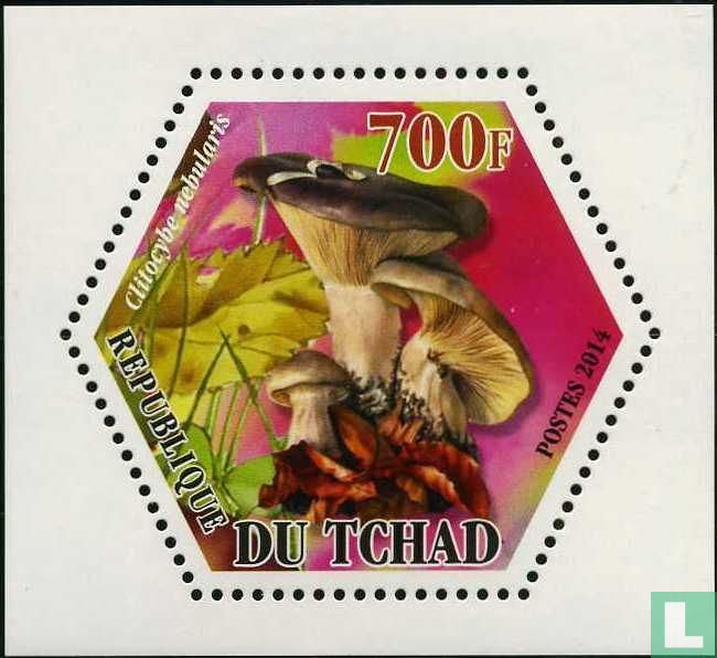 Champignons