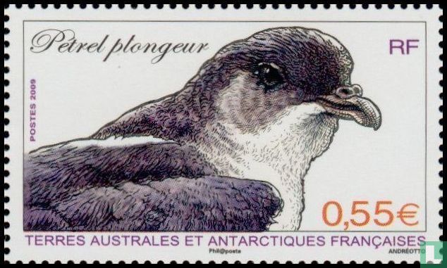 Puffinure plongeur