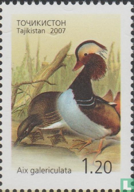 Oiseaux