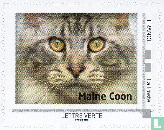 Regarder