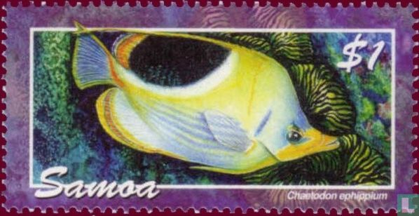 Poisson 