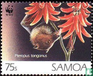 Tonga-Flughund