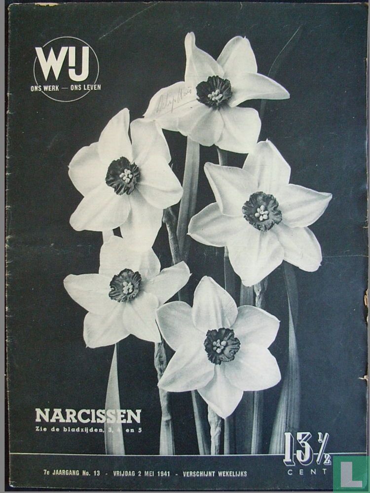 Wij 13