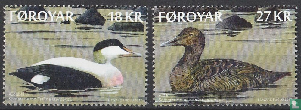 ducks
