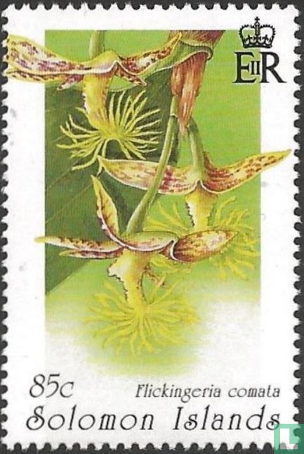 Orchidées
