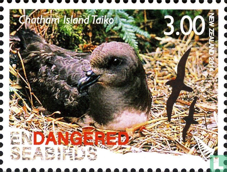 Endangered Birds 