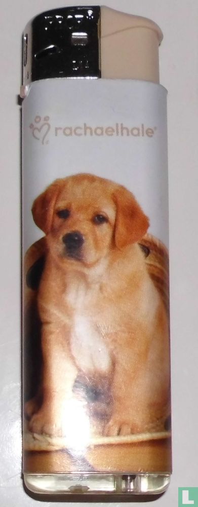 Hond