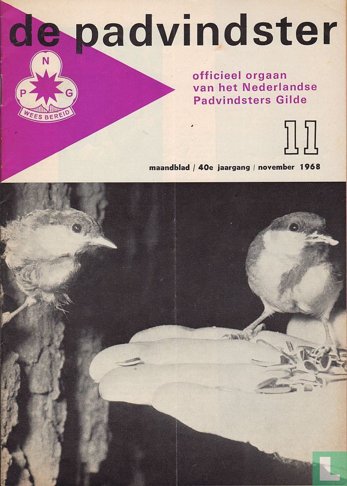 De Padvindster 11