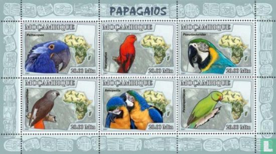 parrots
