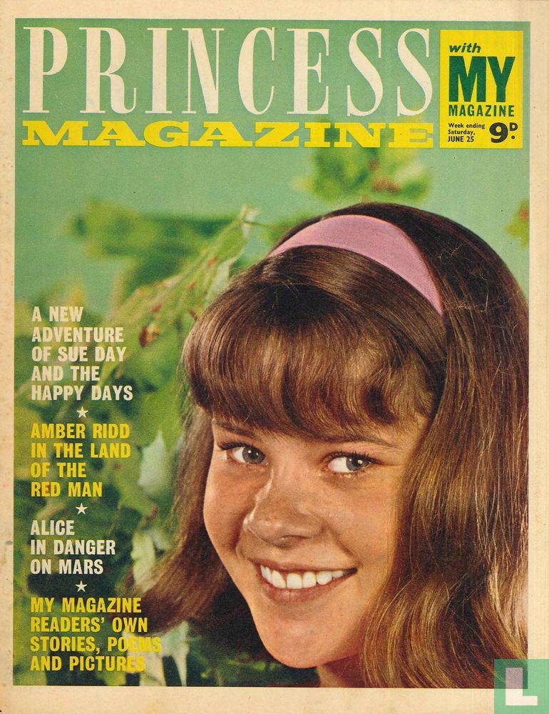 Princess 26