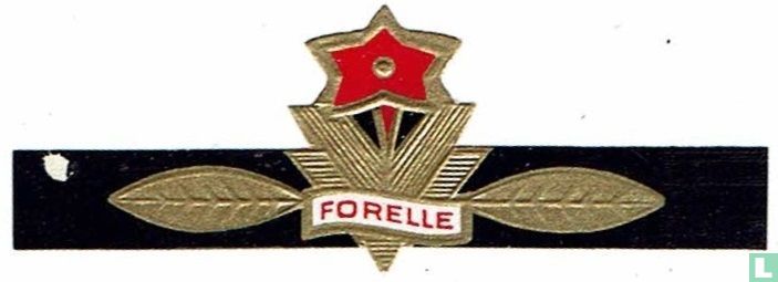 Forelle