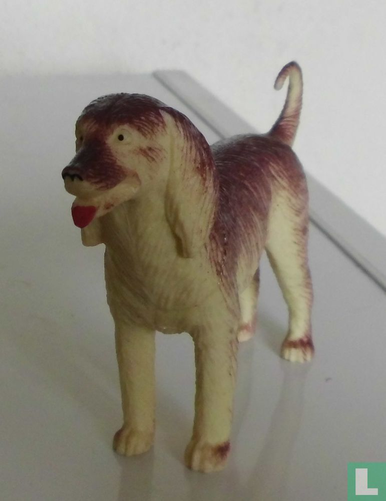 Chien