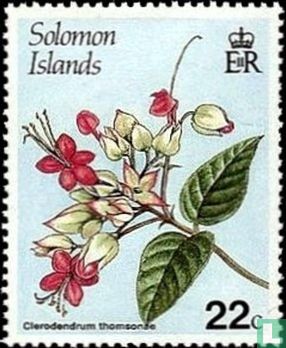Fleurs