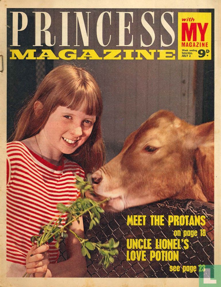 Princess 27