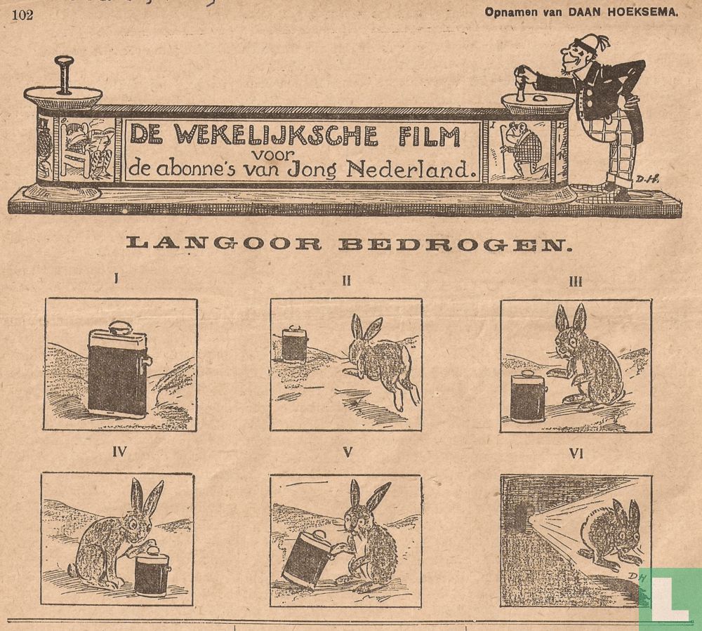 Langohrig getäuscht
