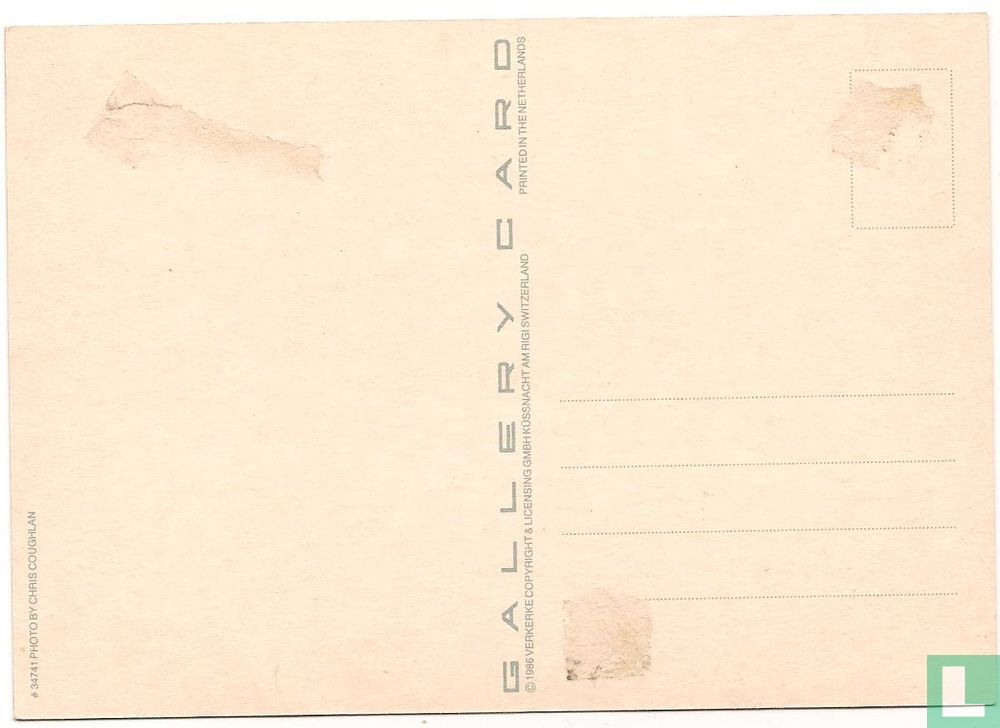 Untitled (34741)