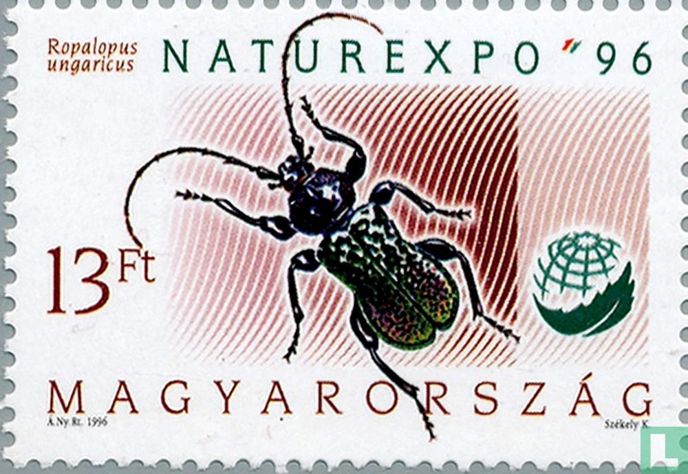 Capricorne hongrois