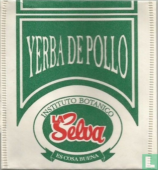 Yerba de Pollo