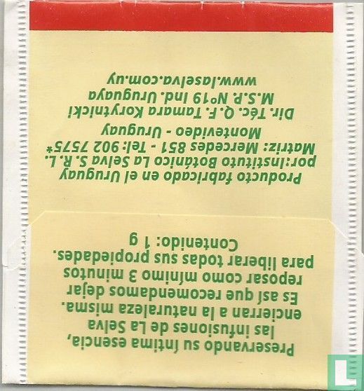 Menta