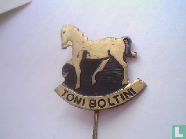 Toni Boltini