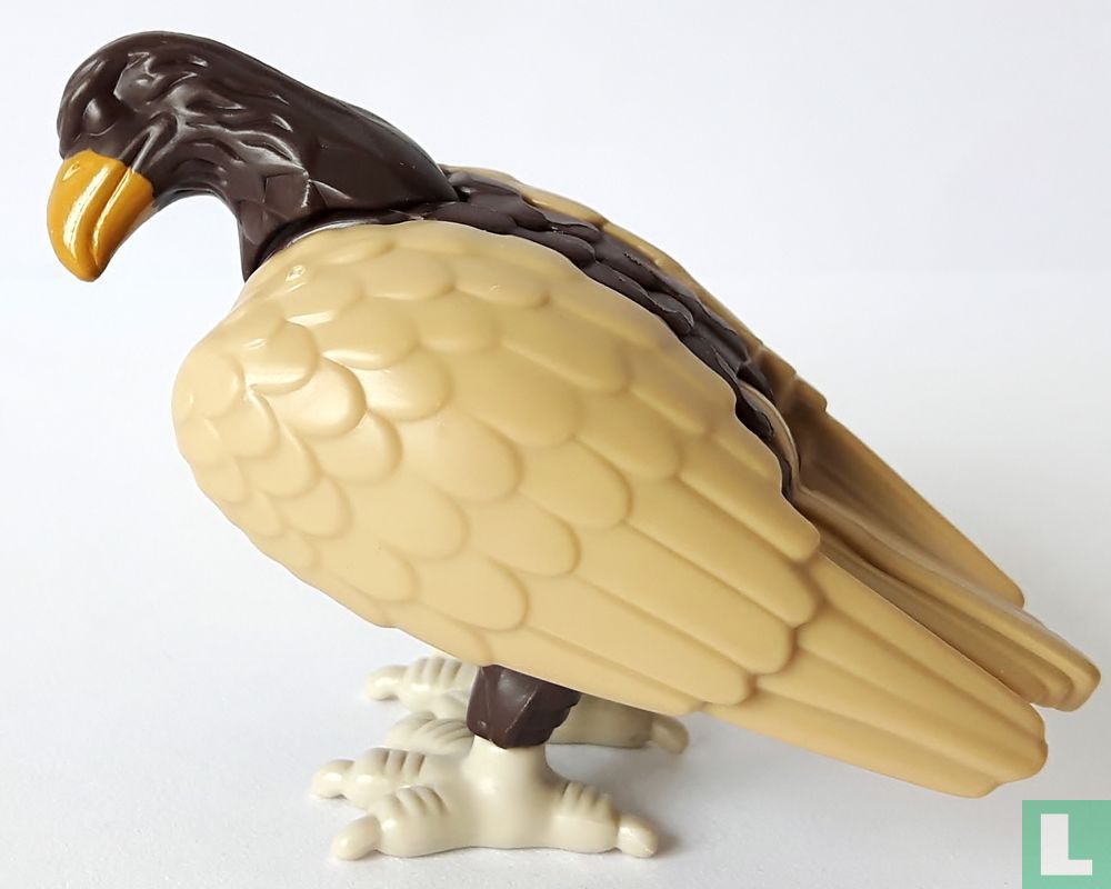 Steinadler