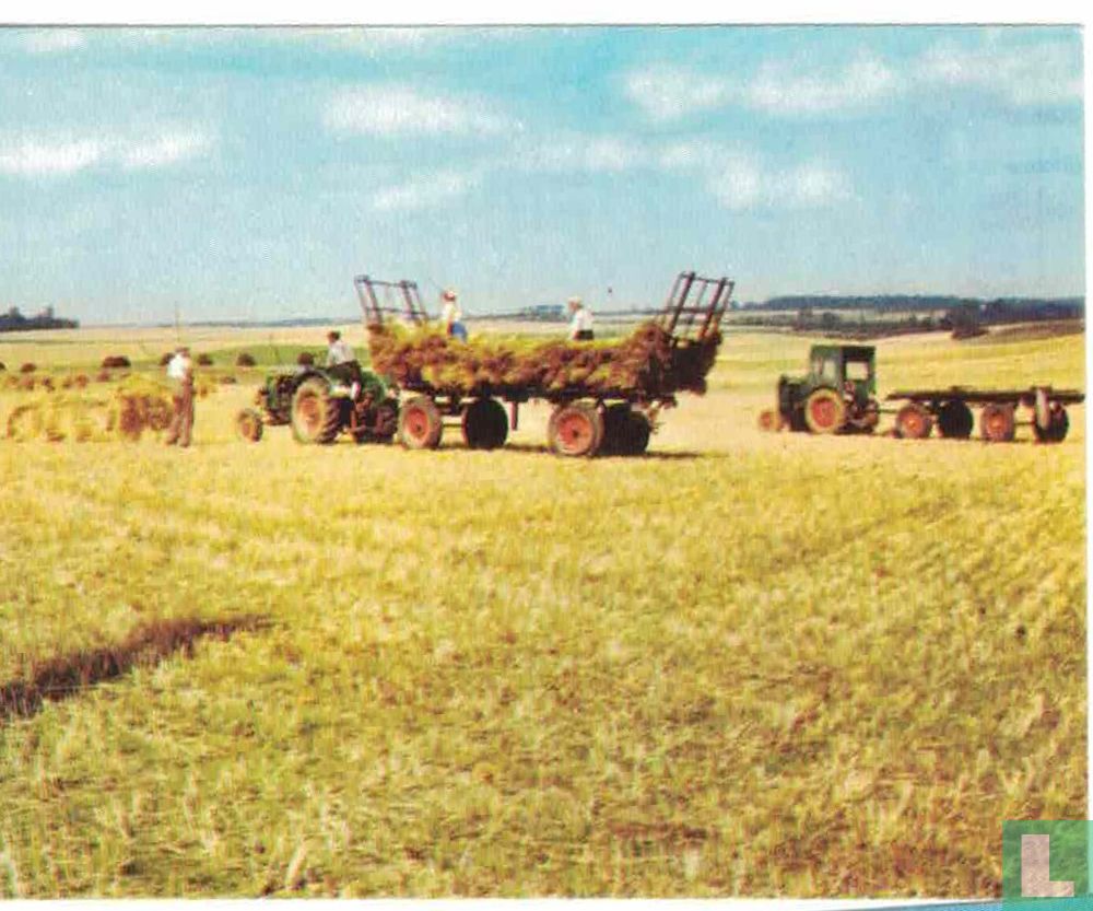 le plateau brabançon