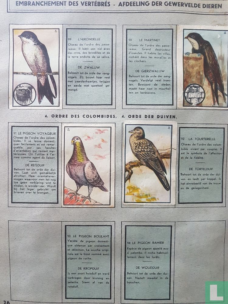 Zoologie