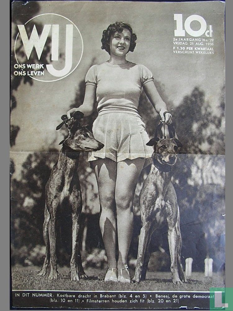 Wij 29
