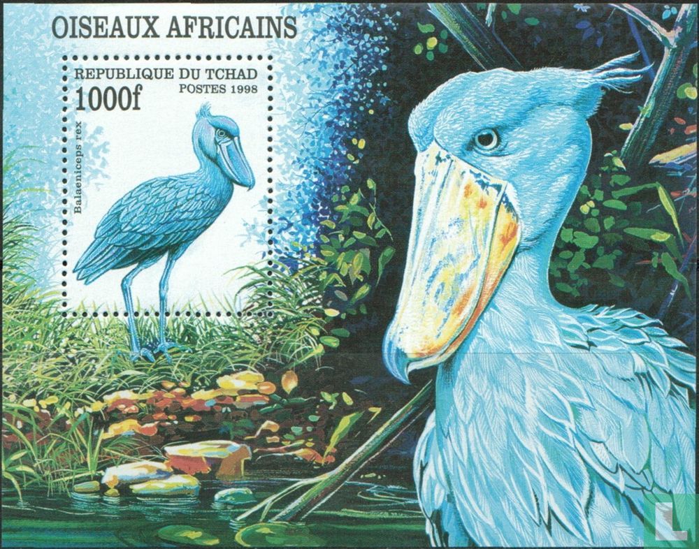 Oiseaux d'Afrique 