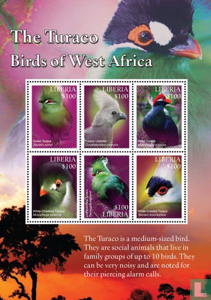 Birds